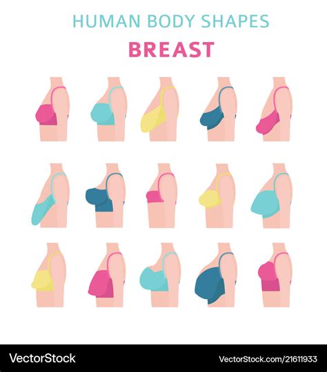 The 12 Different Breast Shapes and Types